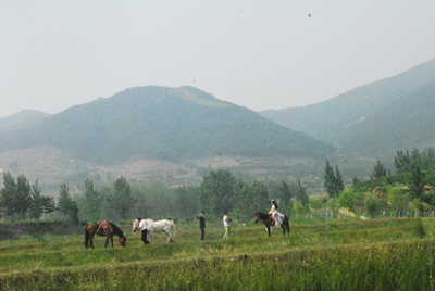 20140606055528318.jpg