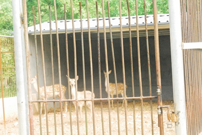 20140606055533443.jpg