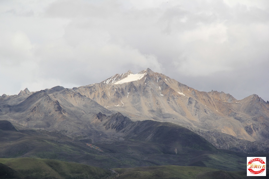 IMG_9928.jpg