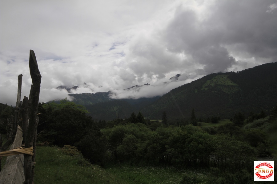 IMG_1142.jpg