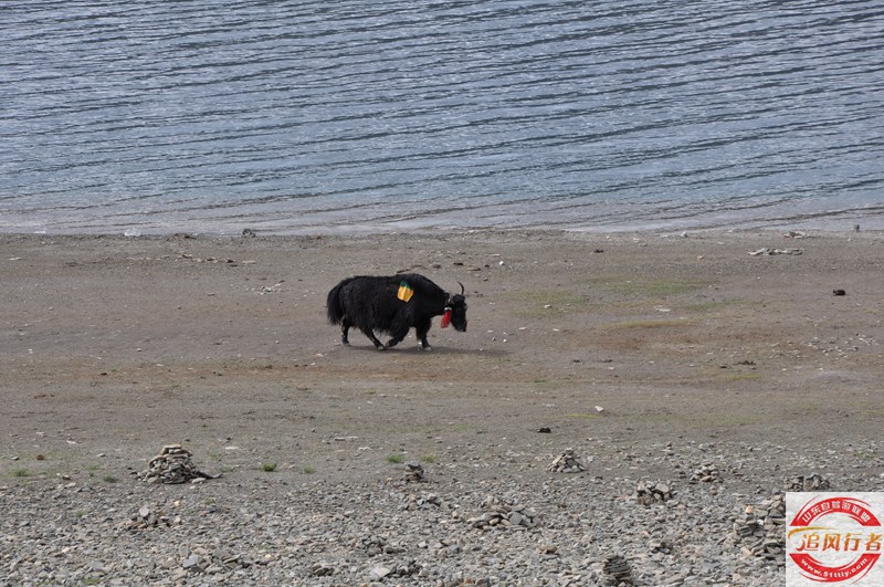 DSC_0107.JPG