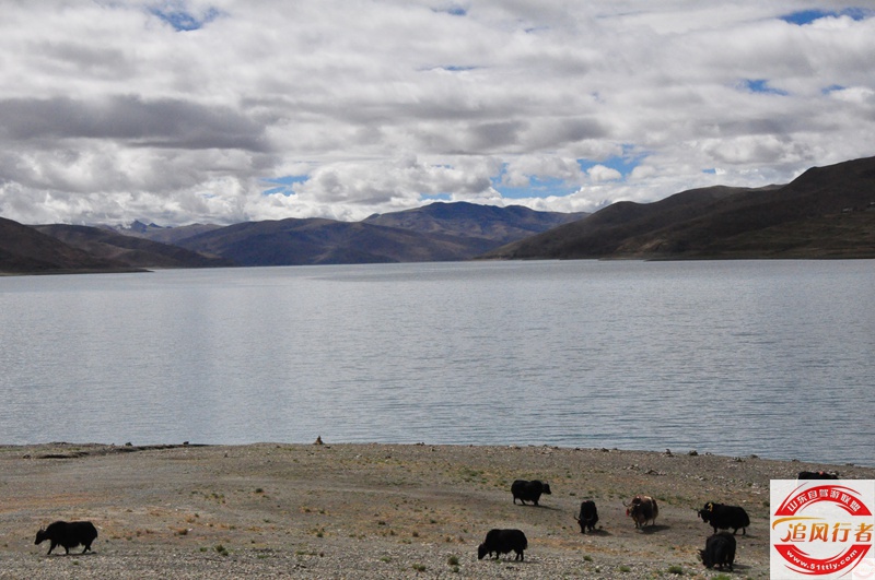 DSC_0094.JPG
