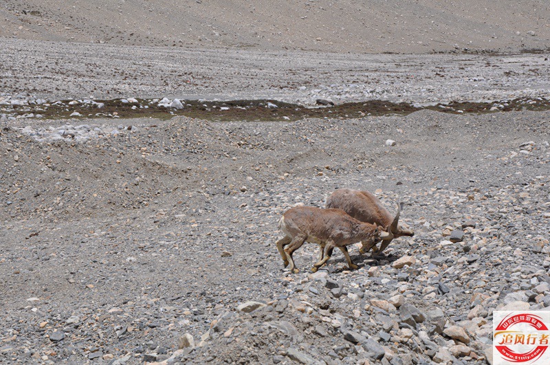 DSC_0335.jpg