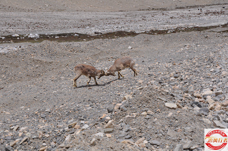 DSC_0326.jpg