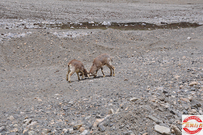 DSC_0330.jpg