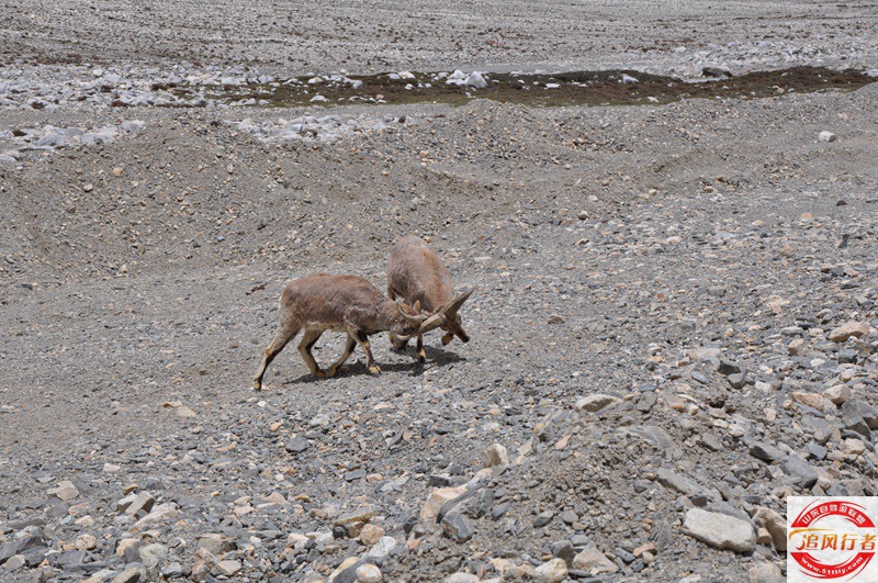 DSC_0334.jpg