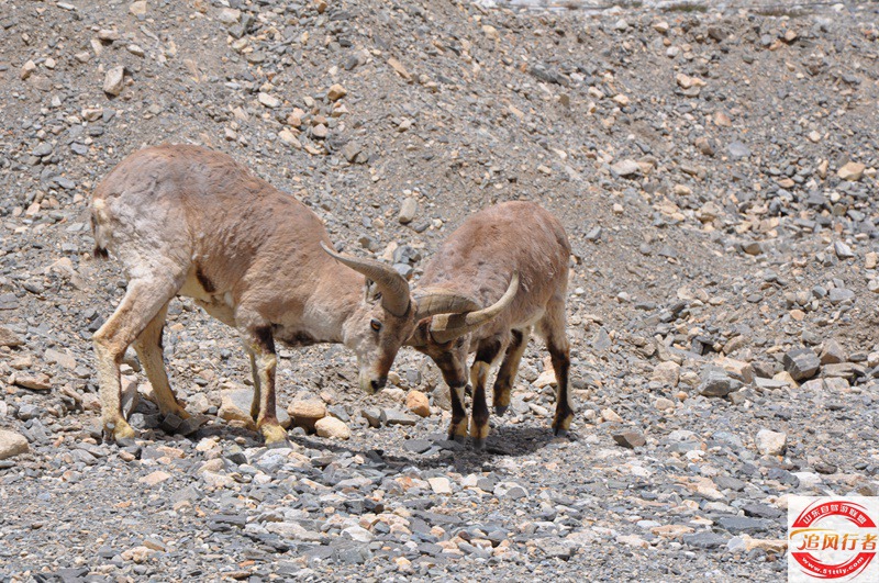 DSC_0351.jpg