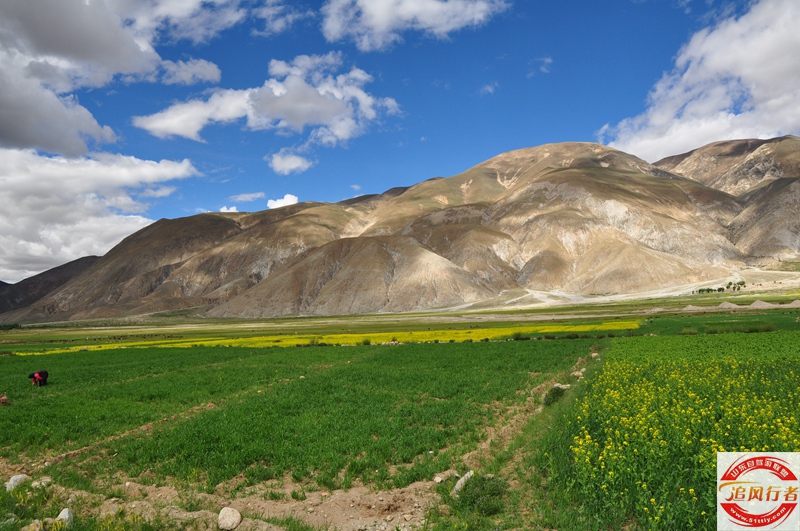 DSC_0487.jpg
