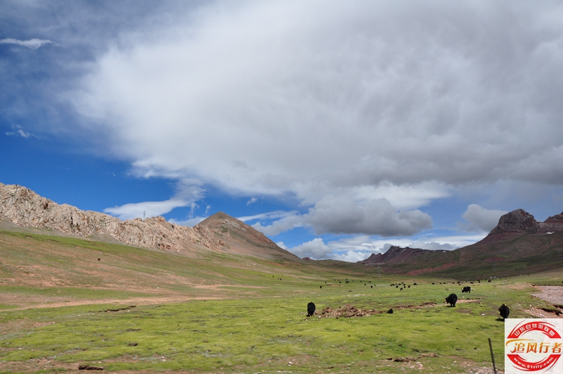 DSC_0634.jpg