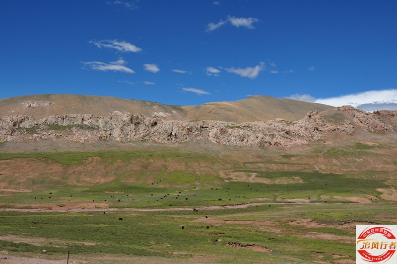 DSC_0628.jpg