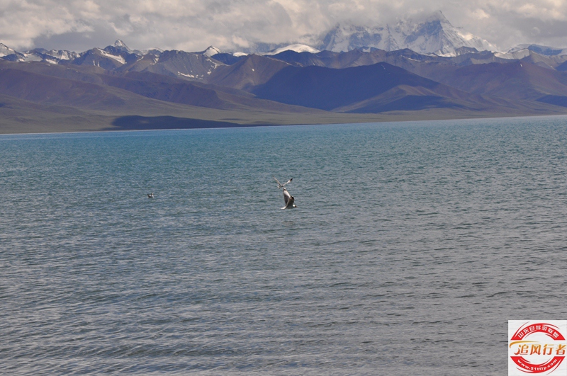 DSC_0852.jpg