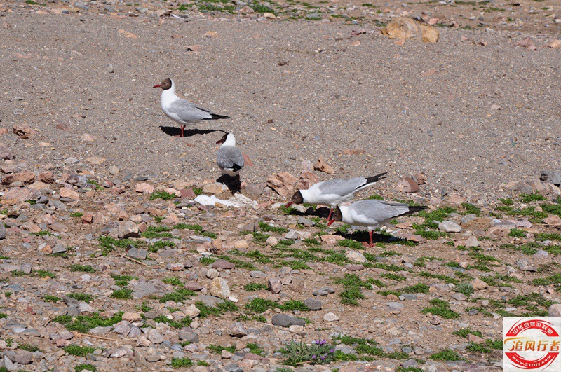 DSC_0902.jpg