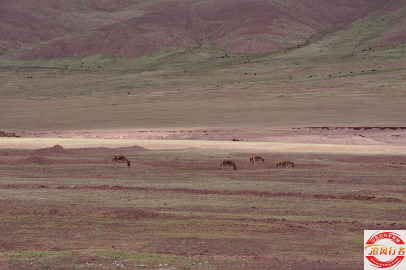 DSC_0145.jpg