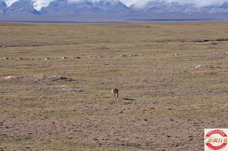 DSC_0147.jpg