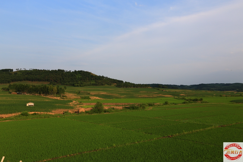 1U1A5233.jpg