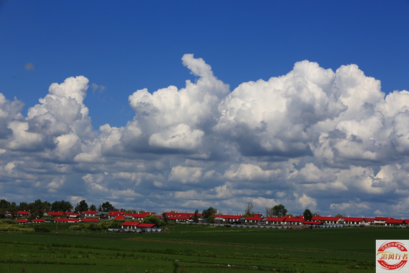 1U1A6577.jpg