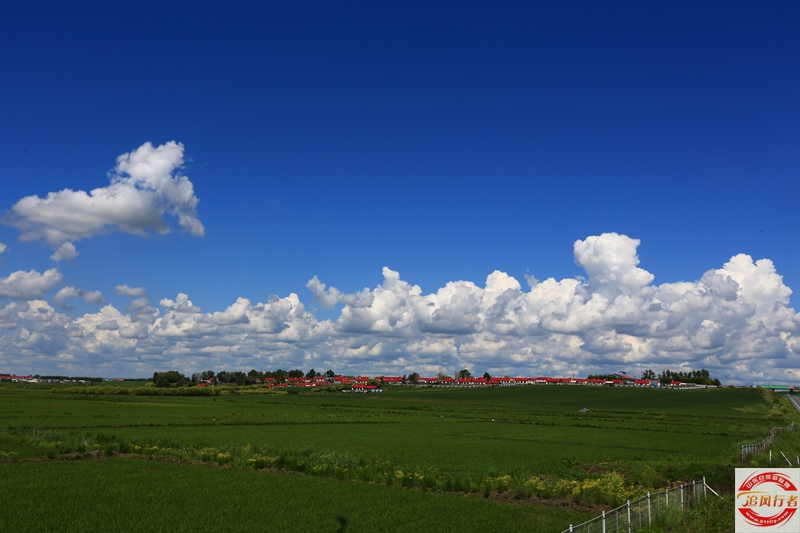 1U1A6565.jpg