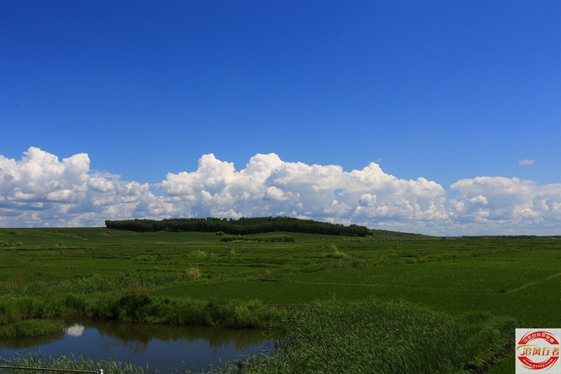 1U1A6572.jpg