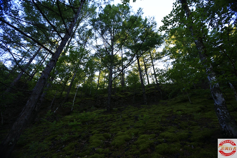 1U1A6945.jpg