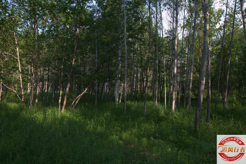 1U1A7838.jpg