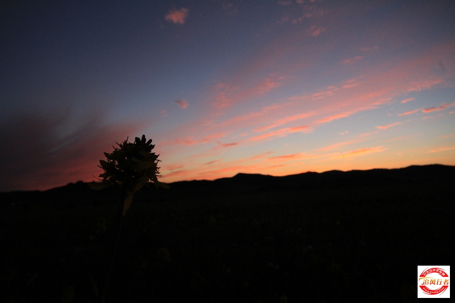 IMG_8185.jpg
