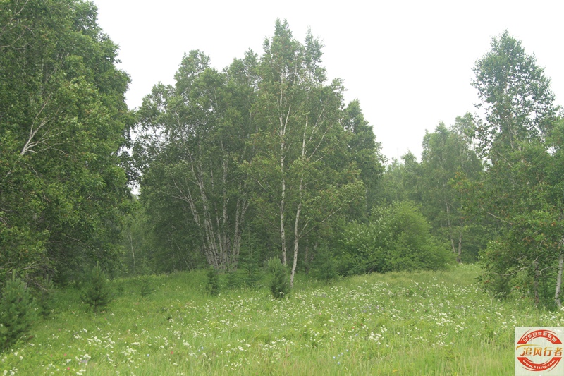 IMG_6915.jpg