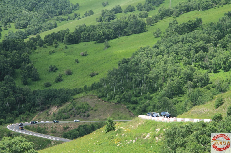 IMG_7381.jpg