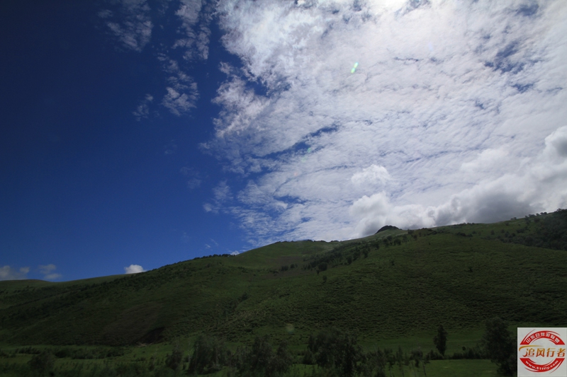 IMG_7348.jpg