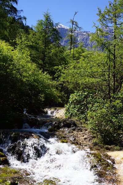 DSC00657_.jpg