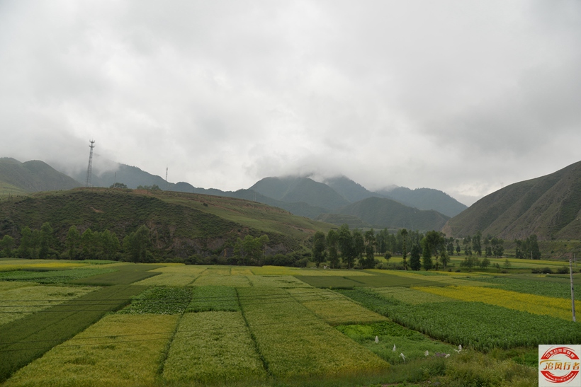 DSC_5238.jpg