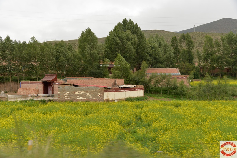 DSC_5248.jpg