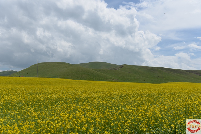 DSC_5371.jpg