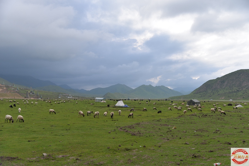 DSC_5583.jpg