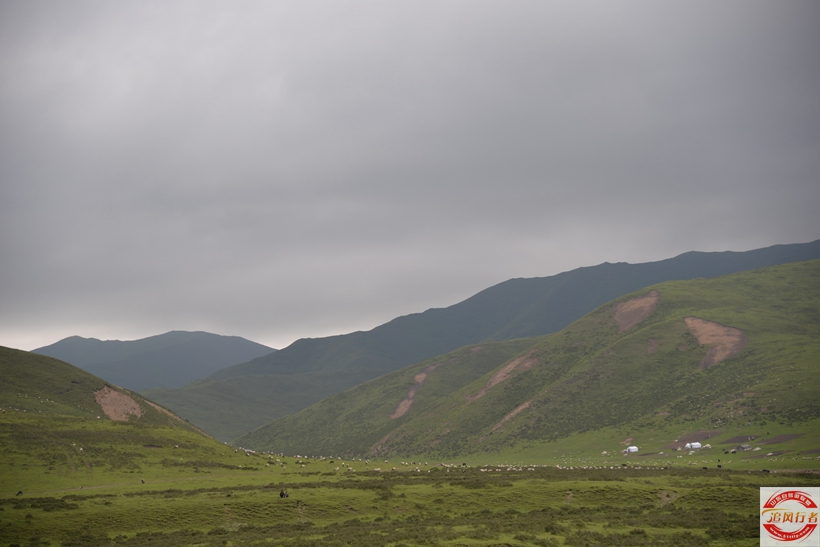 DSC_5574.jpg