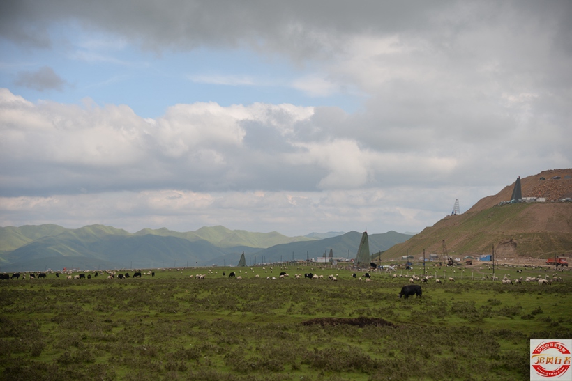 DSC_5577.jpg