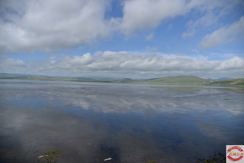 DSC_5720.jpg