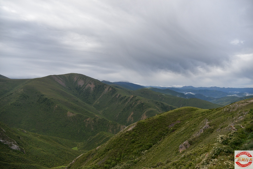 DSC_6216.jpg