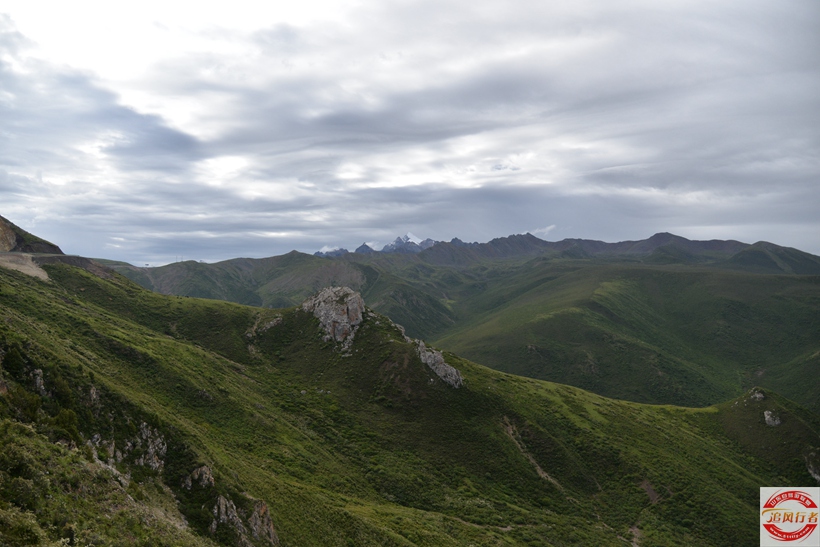DSC_6239.jpg