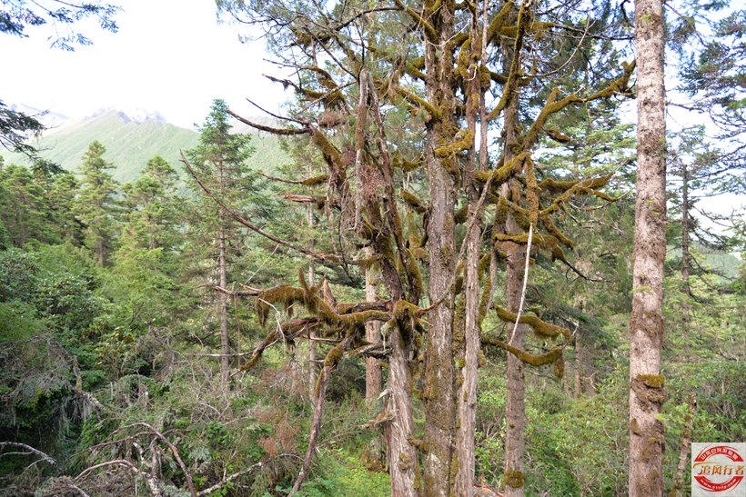 DSC_6299.jpg