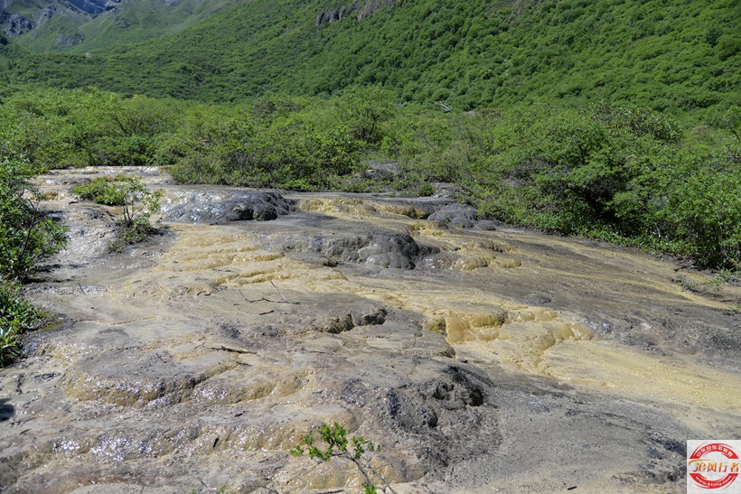 DSC_6320.jpg