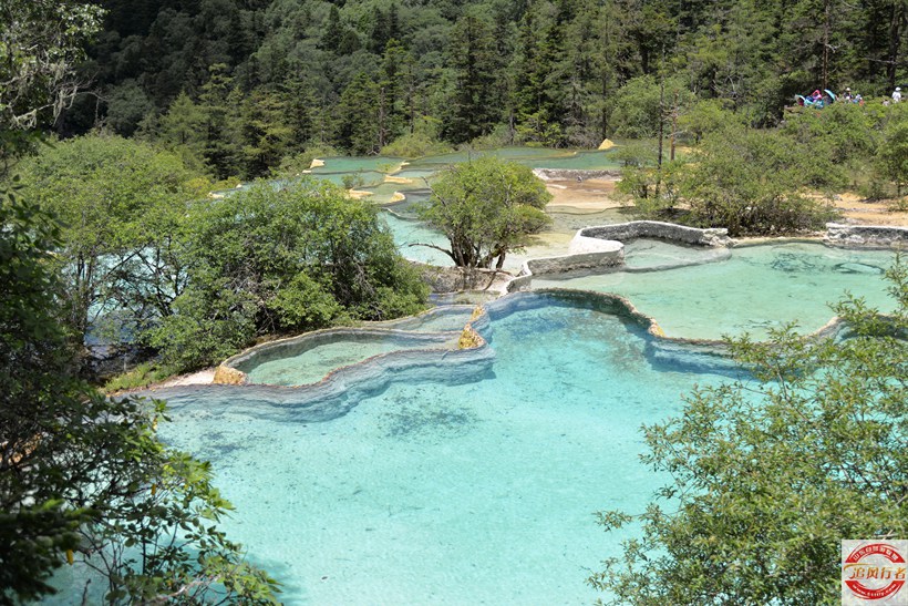 DSC_6555.jpg