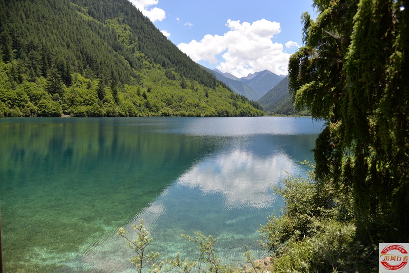 DSC_7019.jpg