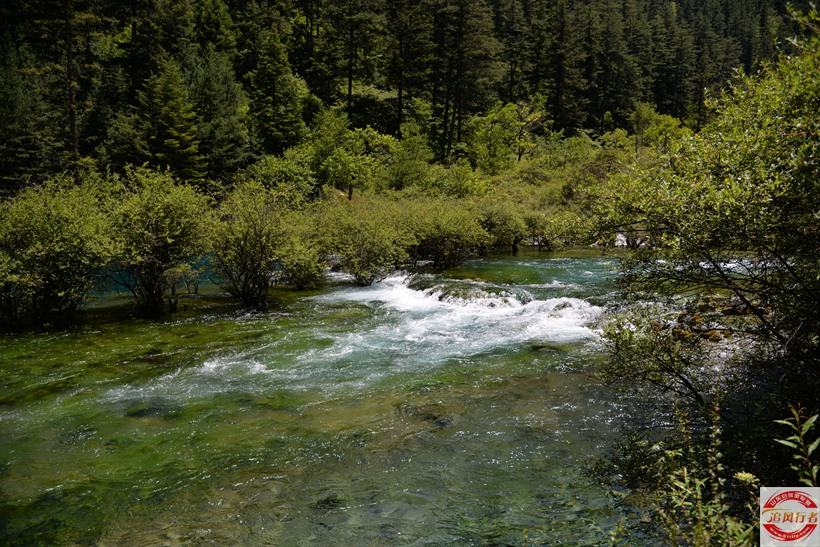 DSC_7098.jpg