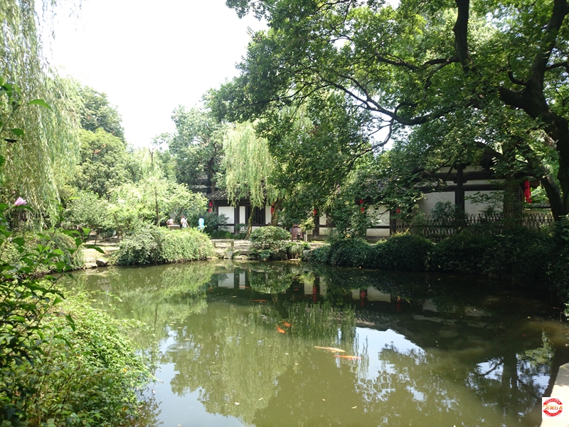 DSC_2116.jpg