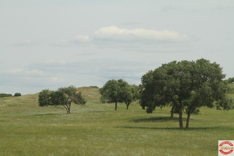 IMG_9854.jpg
