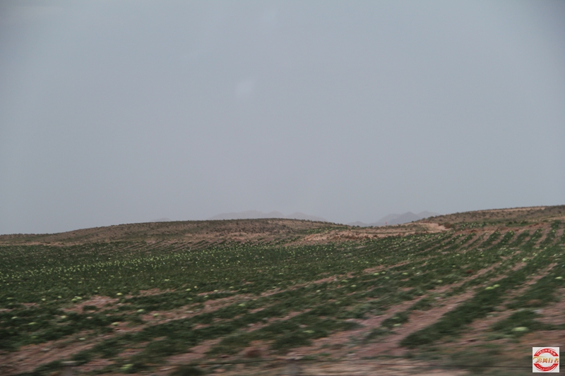IMG_8441.jpg