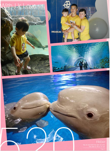 QQͼƬ20140901163947.png