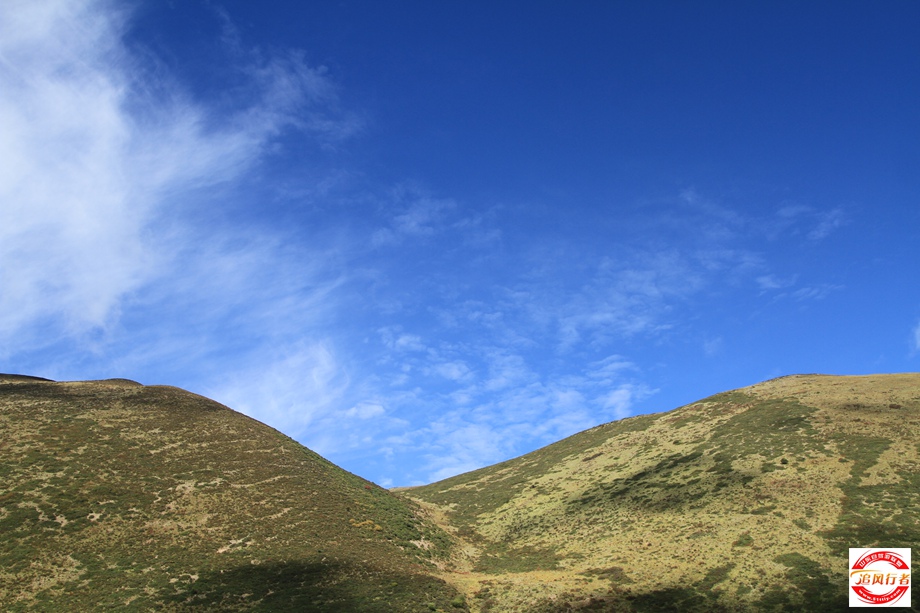 IMG_4211.jpg