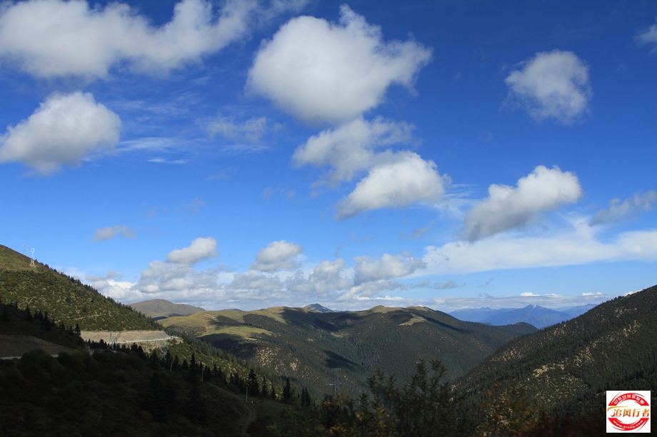 IMG_4218.jpg