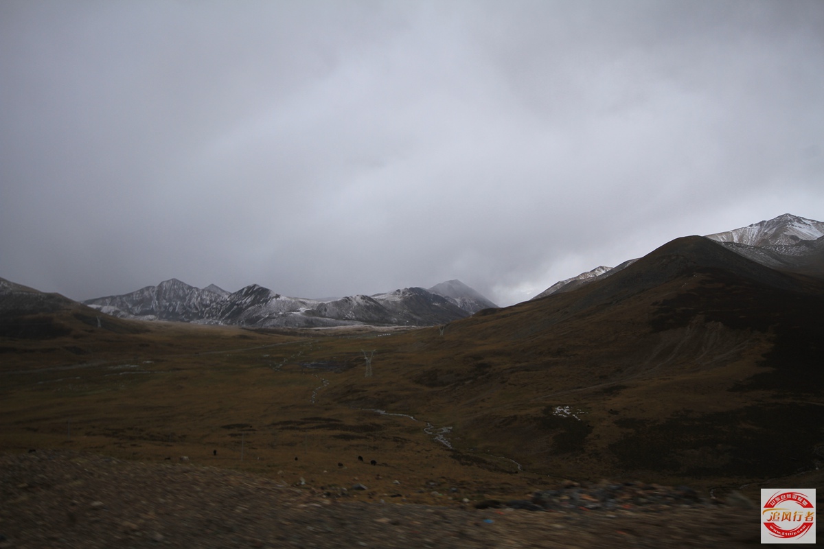 IMG_6084.jpg
